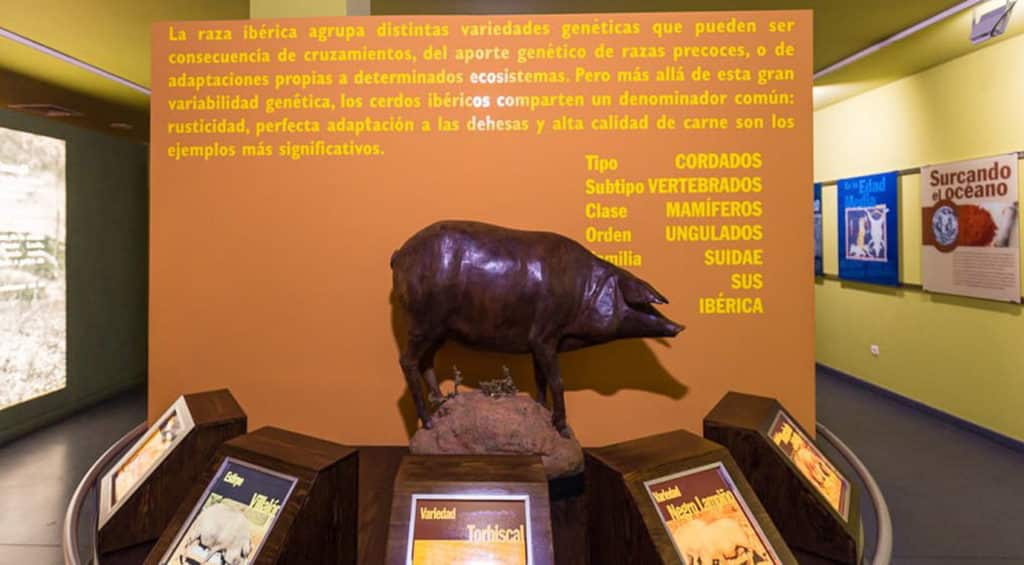 Museo del jamon Aracena
