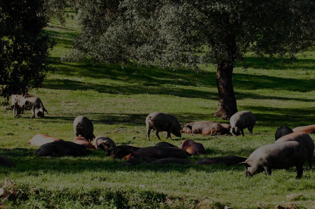 La Dehesa de Segundín