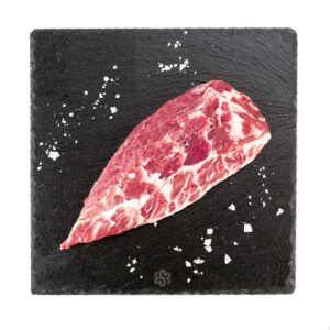 Pluma Ibérica Segundín