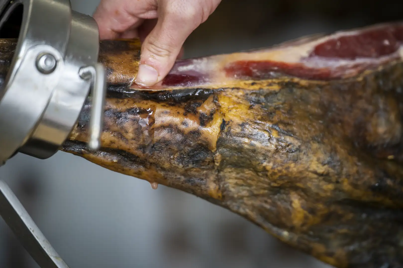 jamon en verano