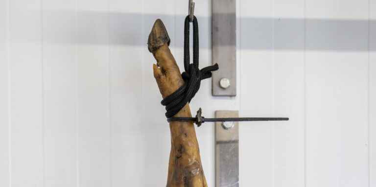 pureza del cerdo iberico