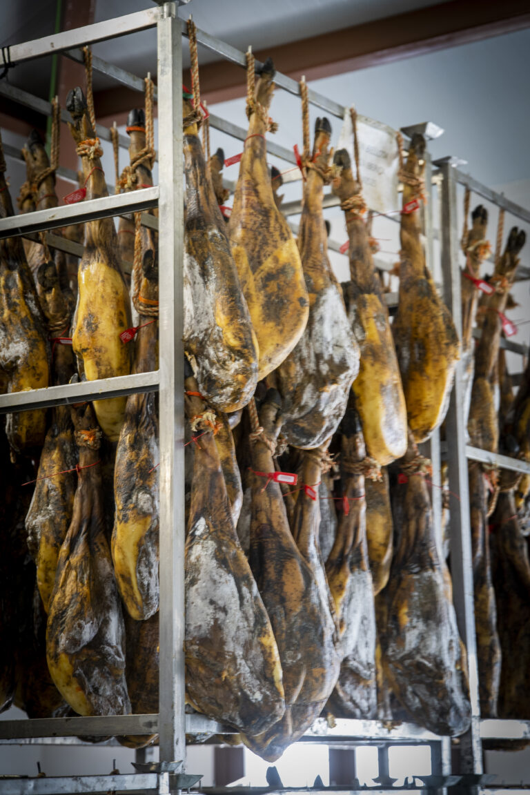 Descubre las diferencias para elegir entre jamón y paleta